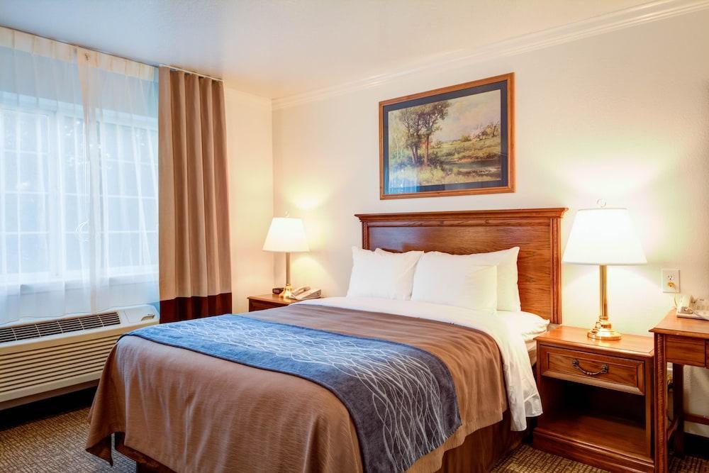 Best Western Paradise Hotel Extérieur photo