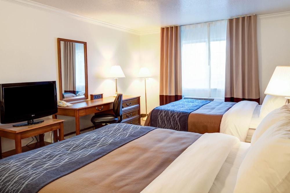 Best Western Paradise Hotel Extérieur photo